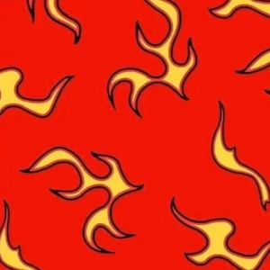 Meet your Posher, Madisyn